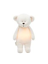 Summender Teddybär mit Lampe